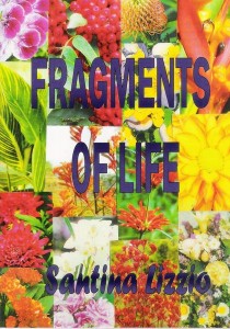 FRAGMENTS OF LIFE